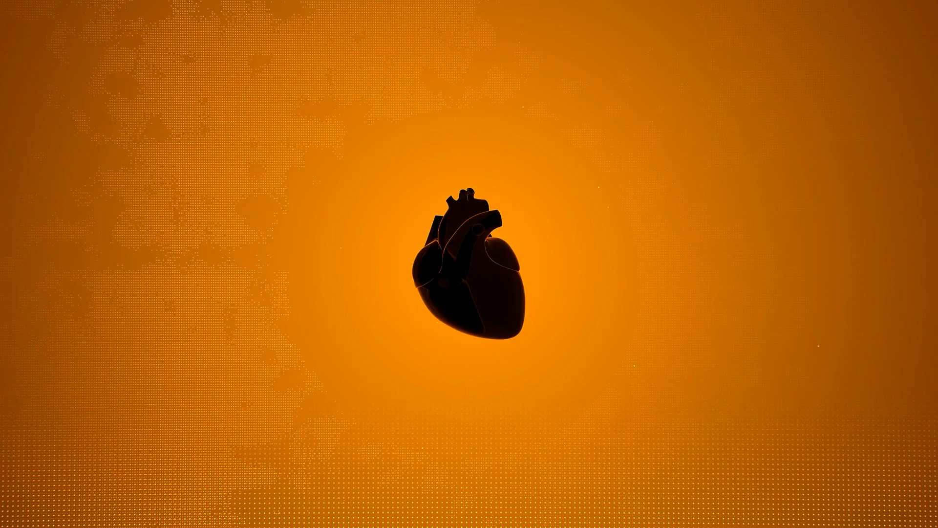 چربی بیشتر در قلب، ریسک بالاتر فیبریلاسیون دهلیزی را به دنبال دارد