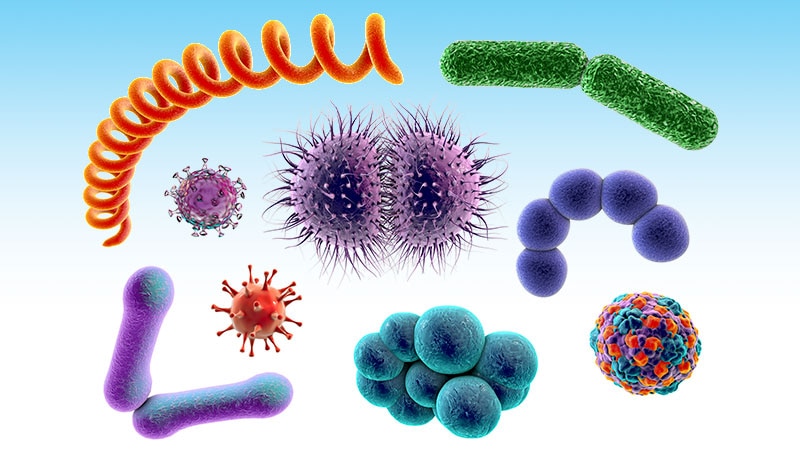 ترکیب آنتی‌بیوتیکی برتر در درمان باکتریمی